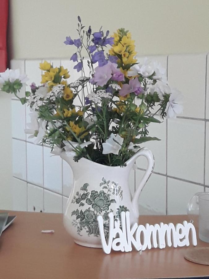 Hostel Koersbaerskullen Vimmerby Zewnętrze zdjęcie